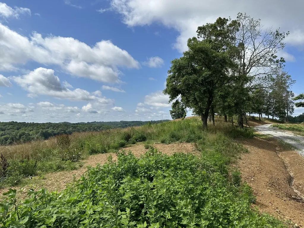 Tract 14 Eagle Landing Road London KY 40741
