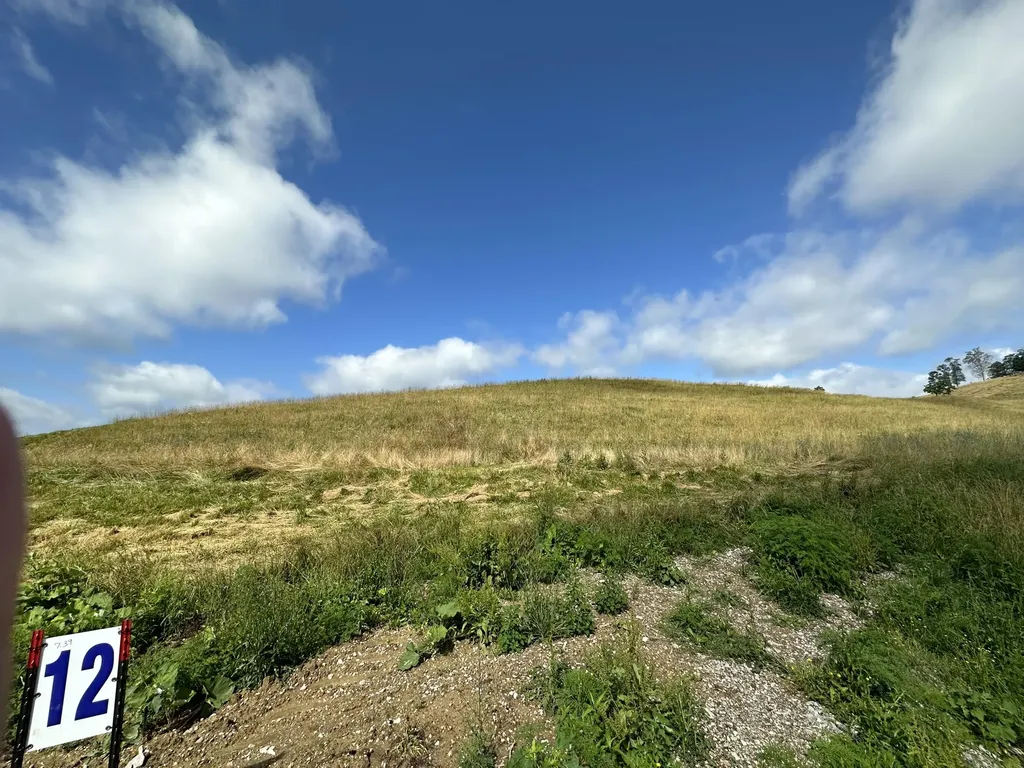 Tract 12 Pittsburg Landing Road London KY 40741