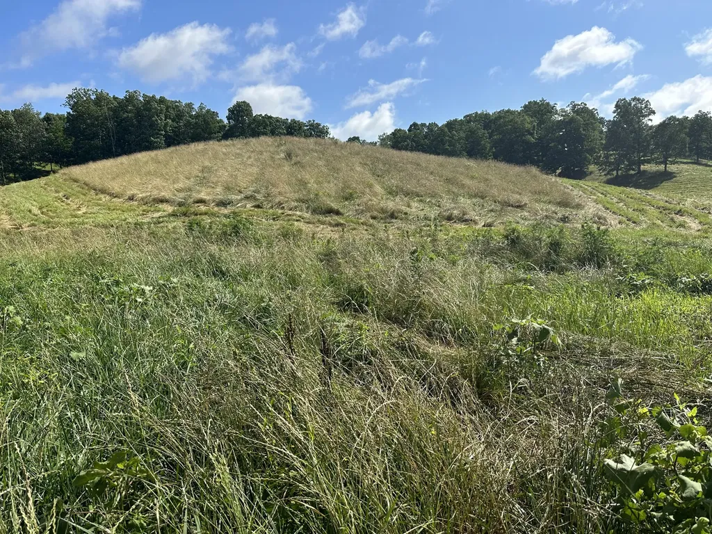 Tract 5 Hawk Landing Road London KY 40741