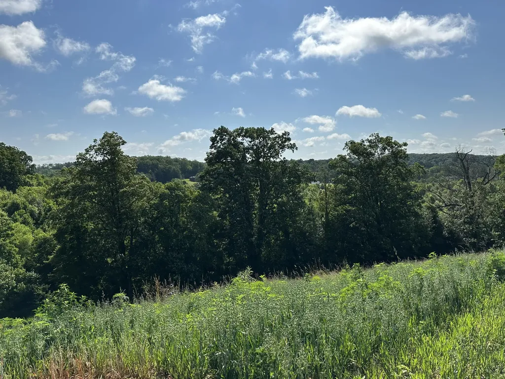 Tract 3 Pittsburg Landing Road London KY 40741