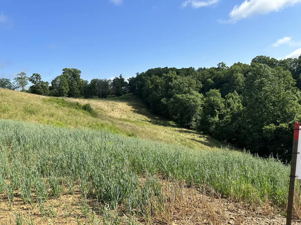 Tract 3 Pittsburg Landing Road London KY 40741