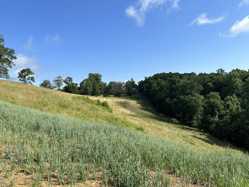 Tract 3 Pittsburg Landing Road London KY 40741