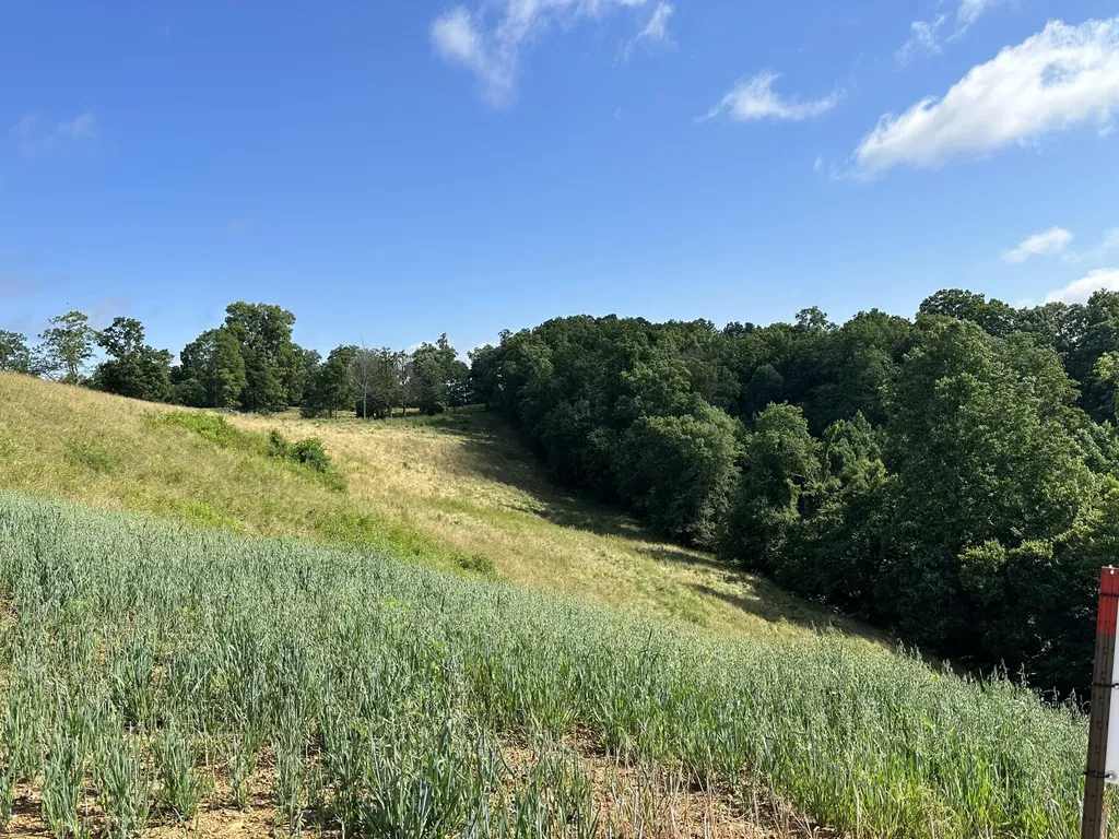 Tract 3 Pittsburg Landing Road London KY 40741