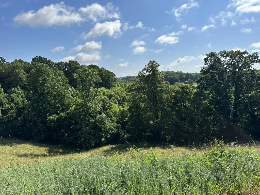 Tract 3 Pittsburg Landing Road London KY 40741