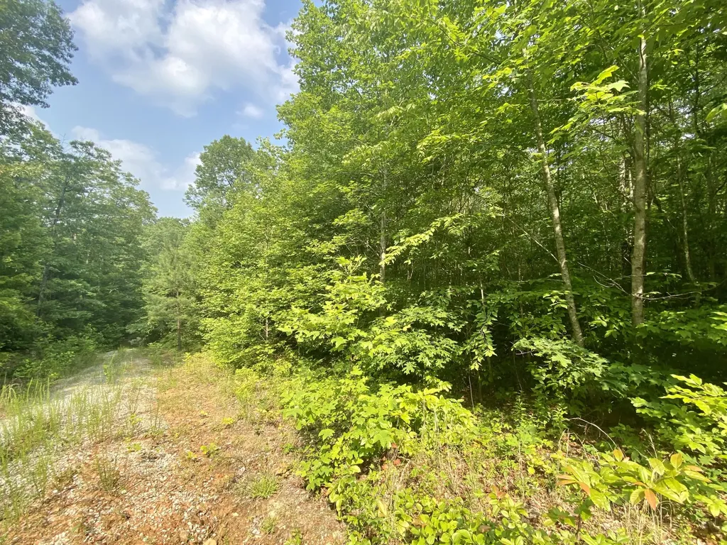 205 Farm House Lane Miracle KY 40856