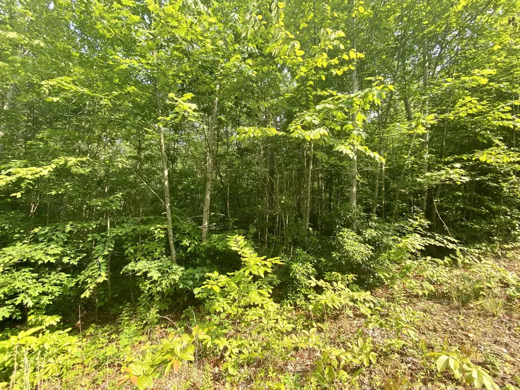 205 Farm House Lane Miracle KY 40856