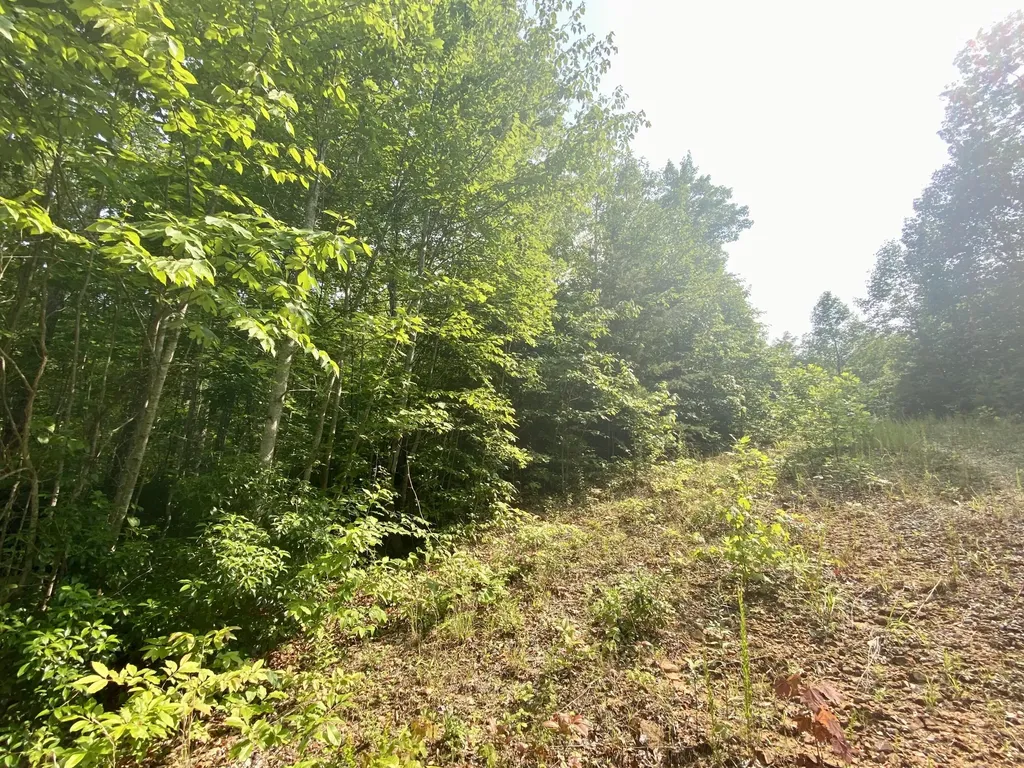 205 Farm House Lane Miracle KY 40856
