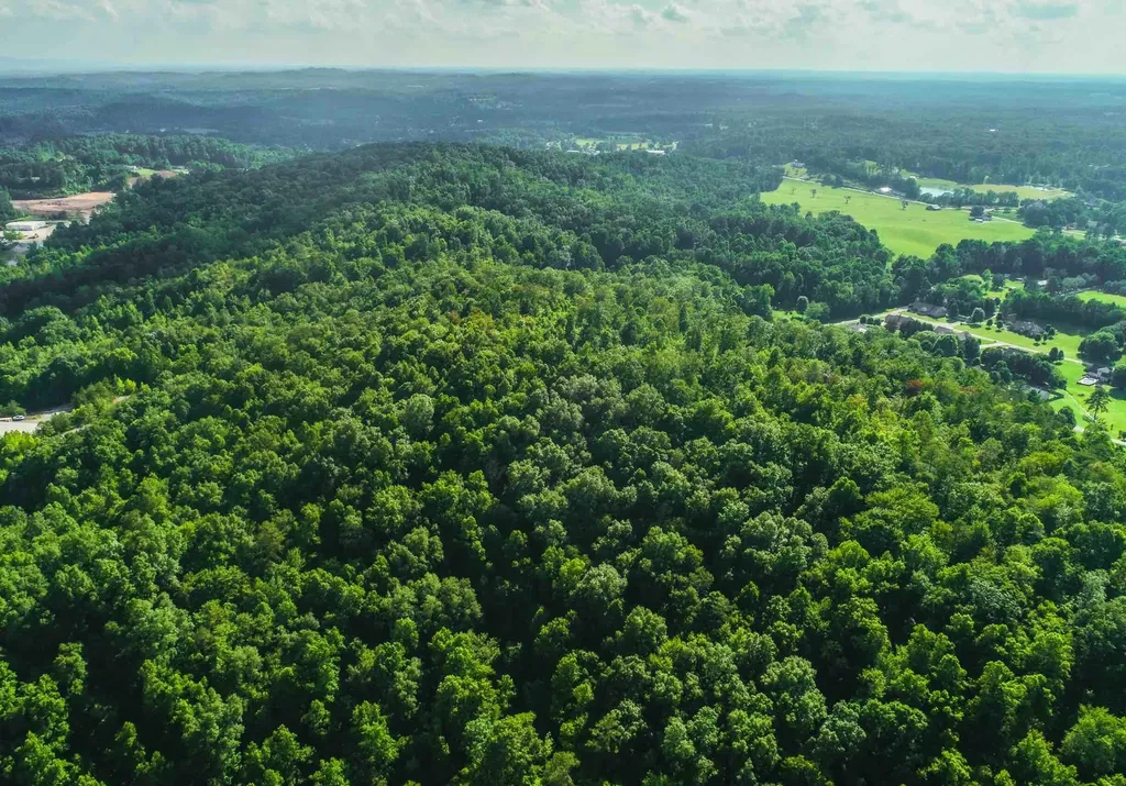 349 Woodchase Lane Corbin KY 40701