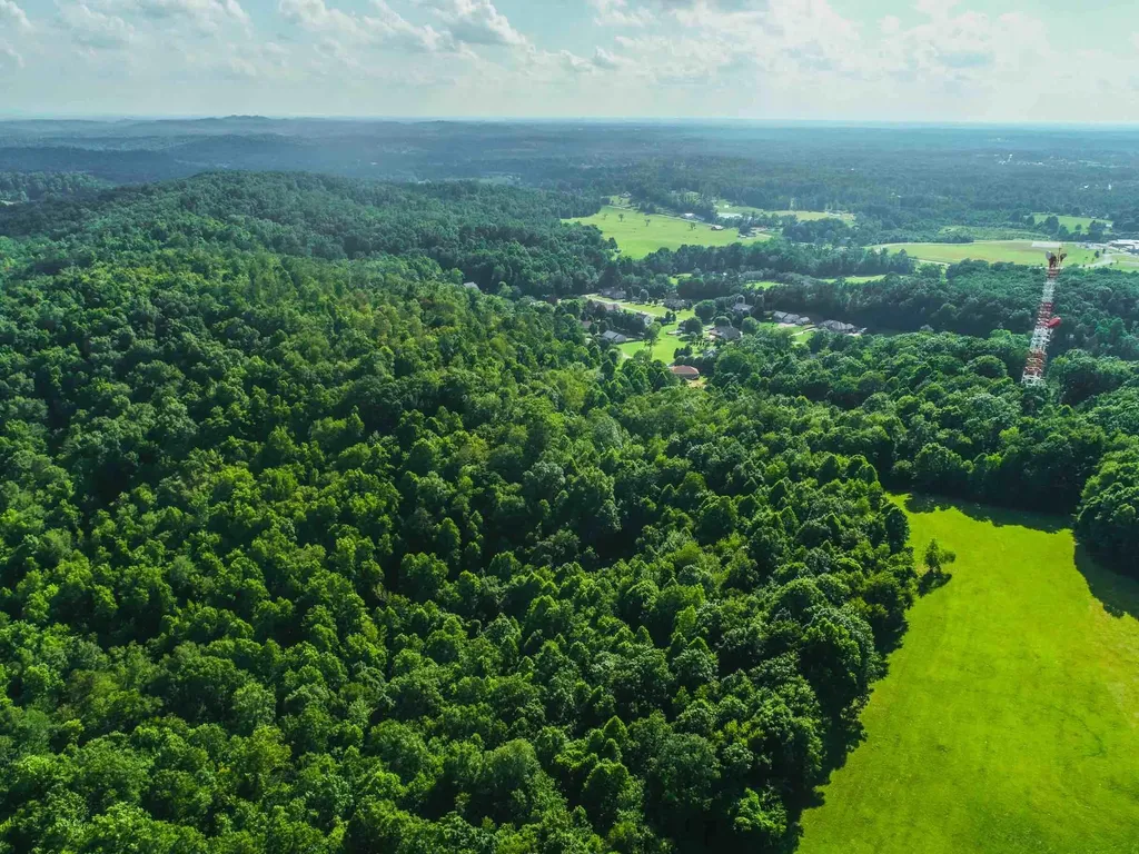 349 Woodchase Lane Corbin KY 40701