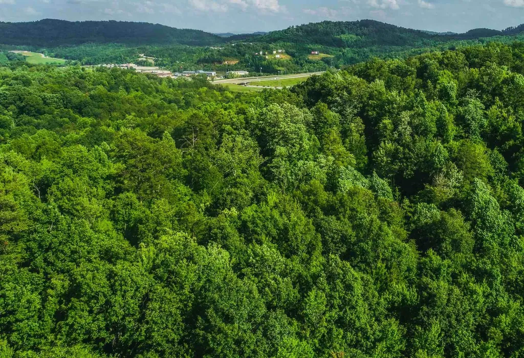 349 Woodchase Lane Corbin KY 40701