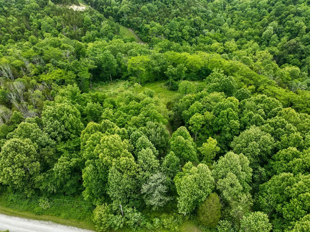 340 Winford Drive Richmond KY 40475