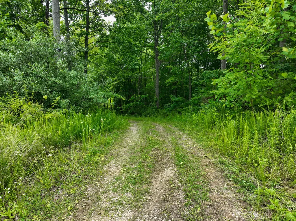 340 Winford Drive Richmond KY 40475