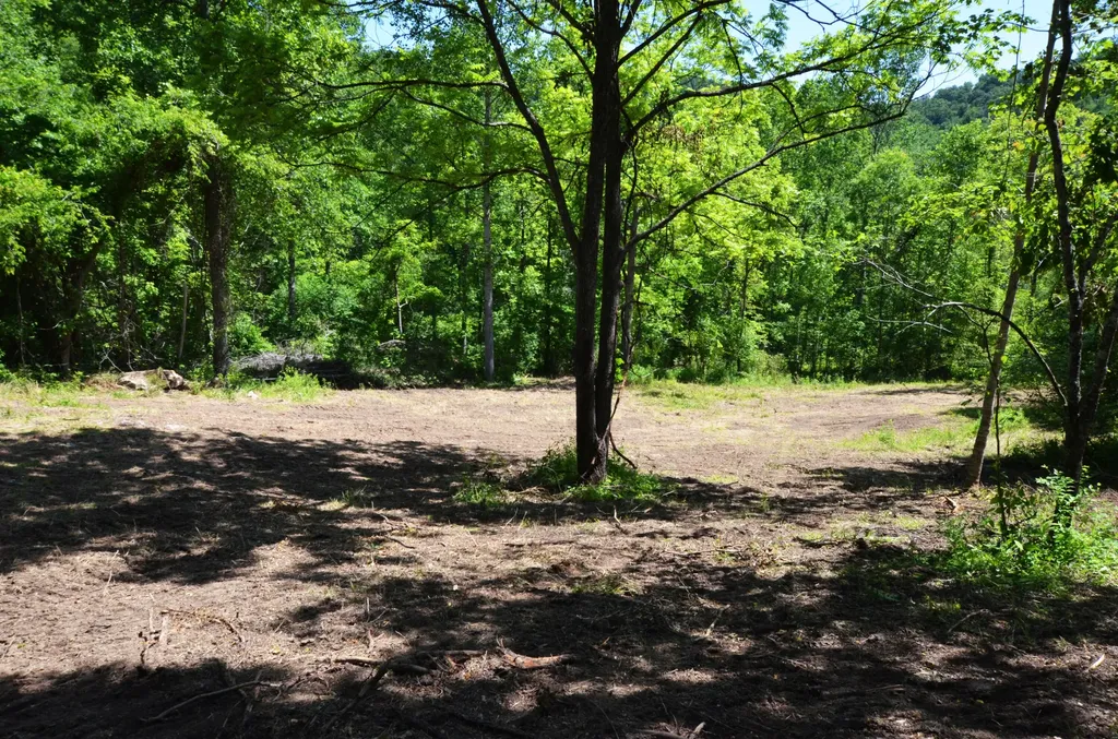 501 Jenkins Branch Road Irvine KY 40336