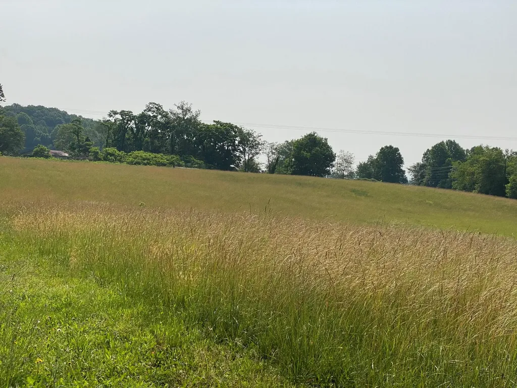 1 W Todd Road Science Hill KY 42553
