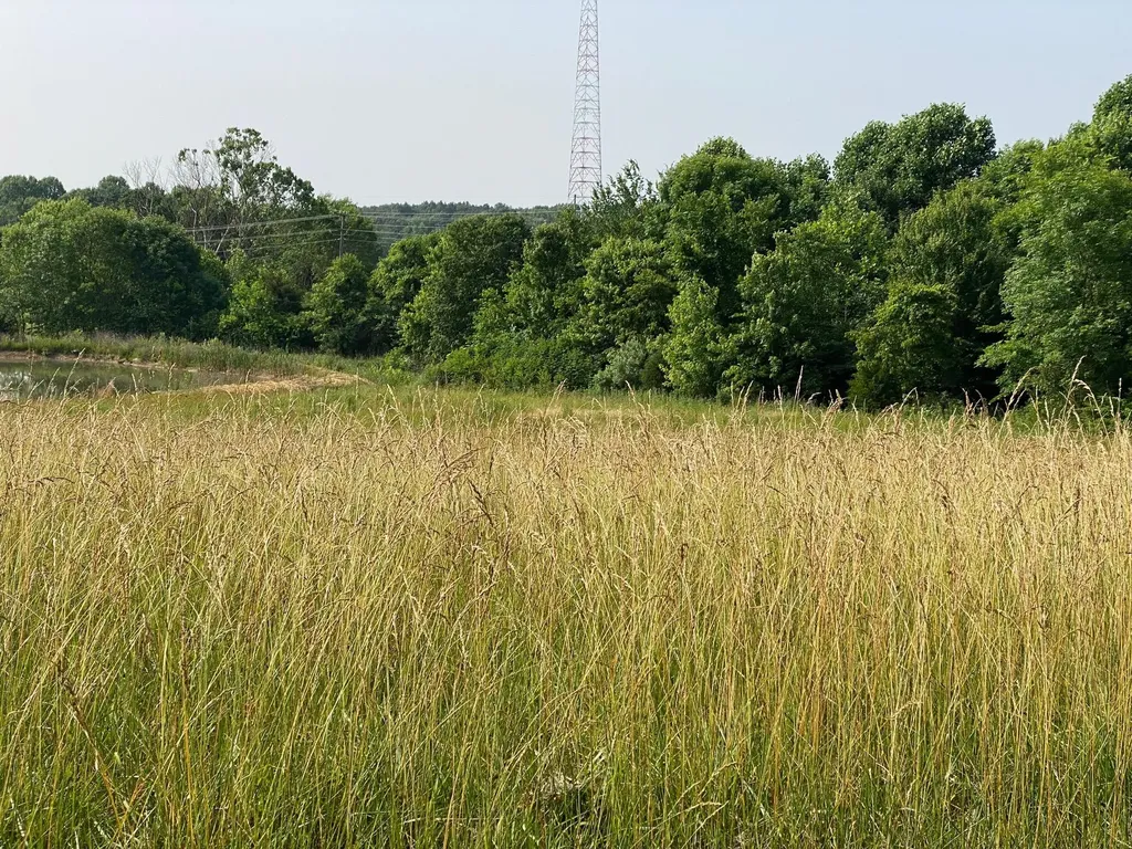 1 W Todd Road Science Hill KY 42553