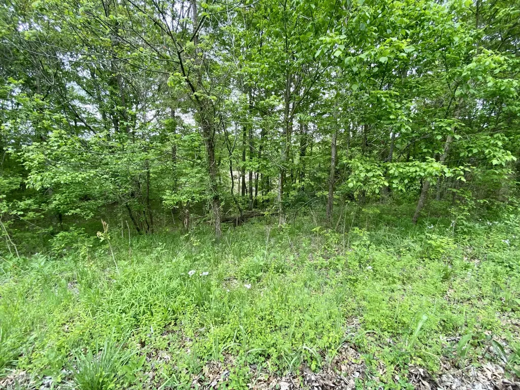 77 Lafayette Road Caneyville KY 42721