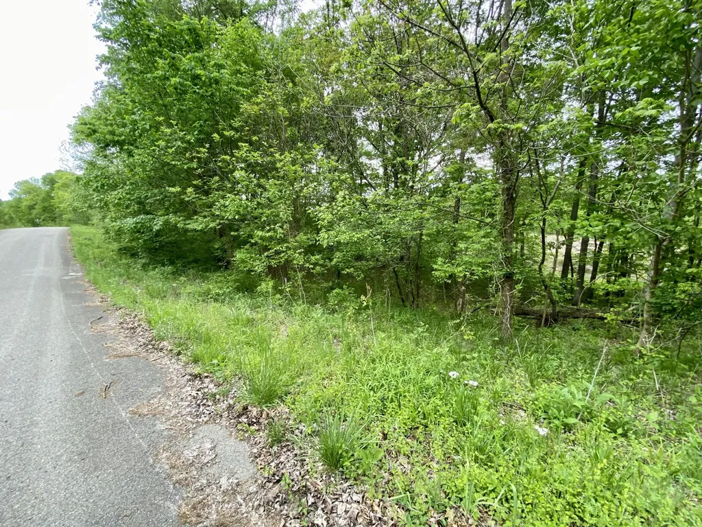 77 Lafayette Road Caneyville KY 42721