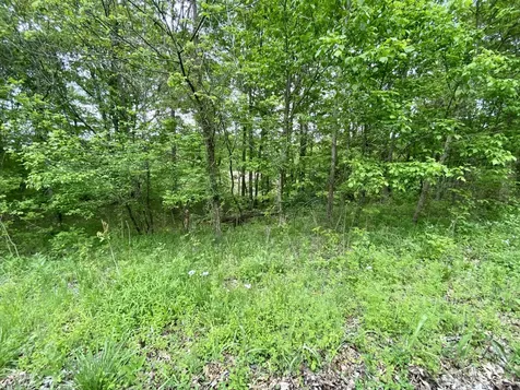 77 Lafayette Road Caneyville KY 42721