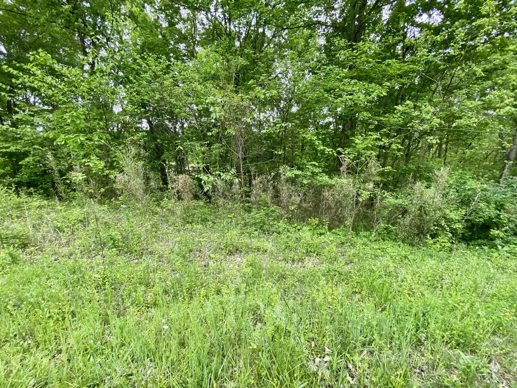 76 Lafayette Road Caneyville KY 42721