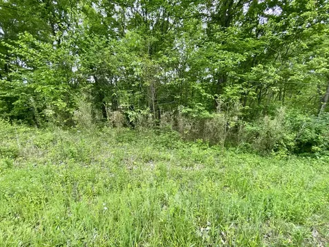 76 Lafayette Road Caneyville KY 42721