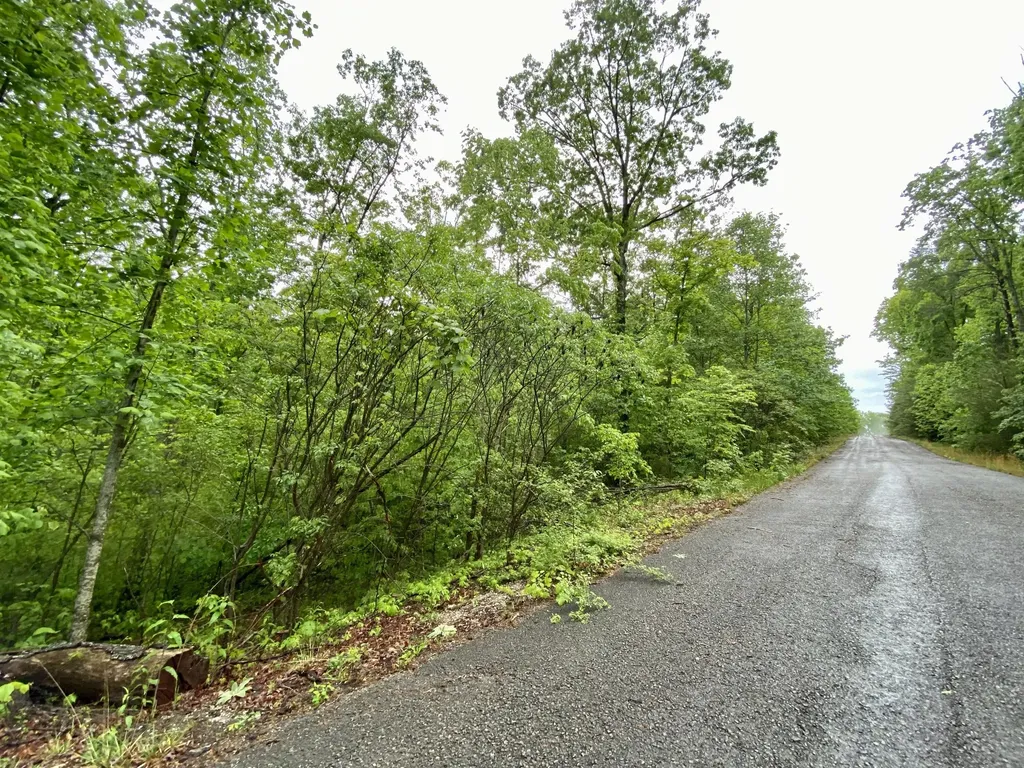 0 Boone Ridge Trail Monticello KY 42633