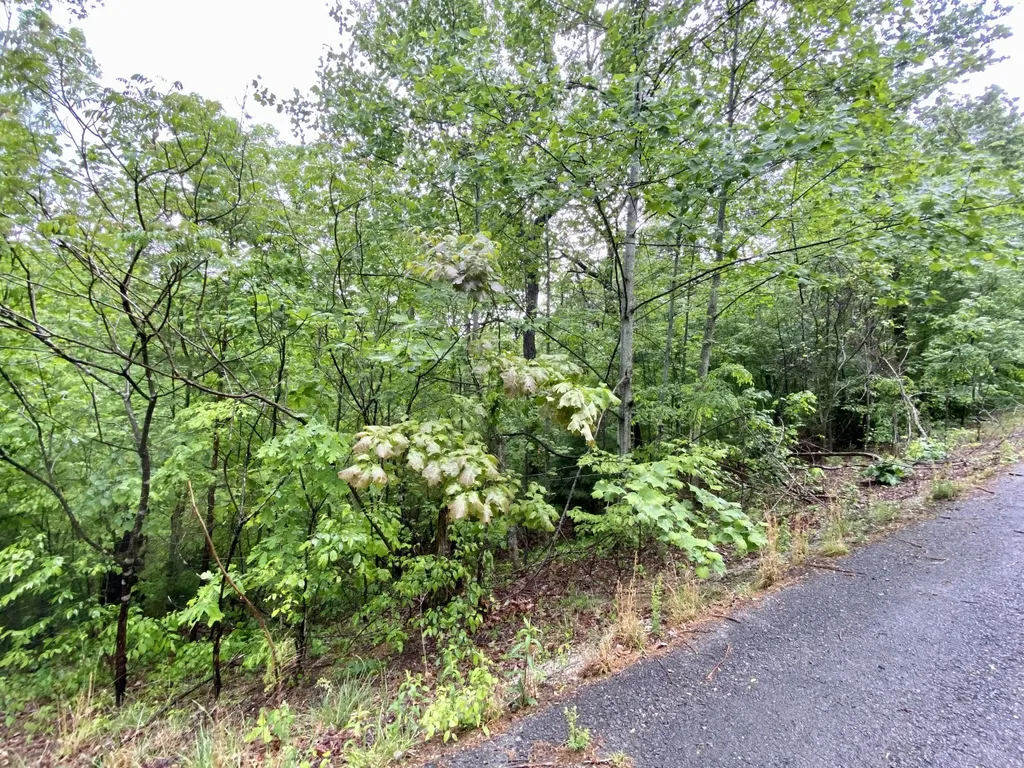 0 Boone Ridge Trail Monticello KY 42633