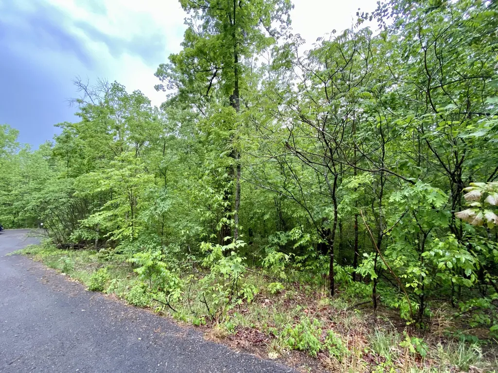 0 Boone Ridge Trail Monticello KY 42633