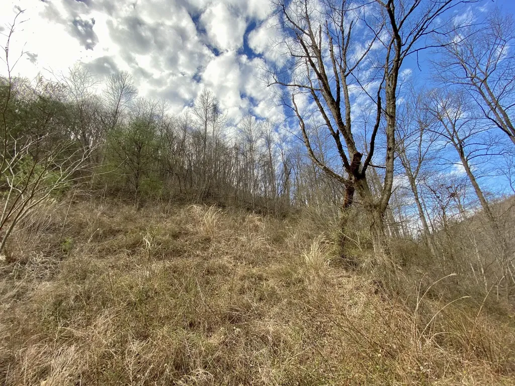 1344 Potato Branch Road Topmost KY 41862