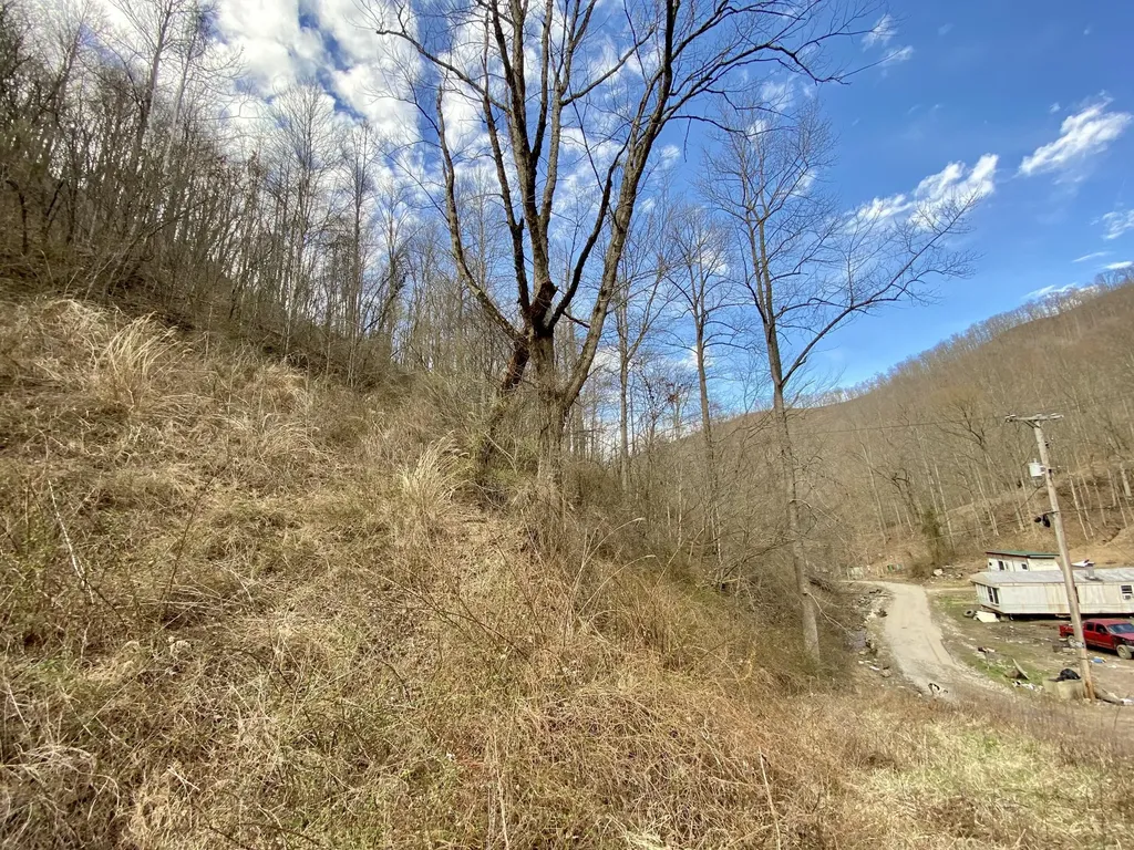 1344 Potato Branch Road Topmost KY 41862