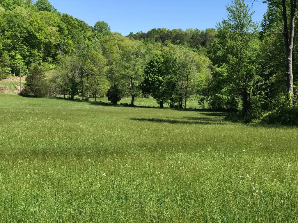 0 Chesnut Grove Road Monticello KY 42633