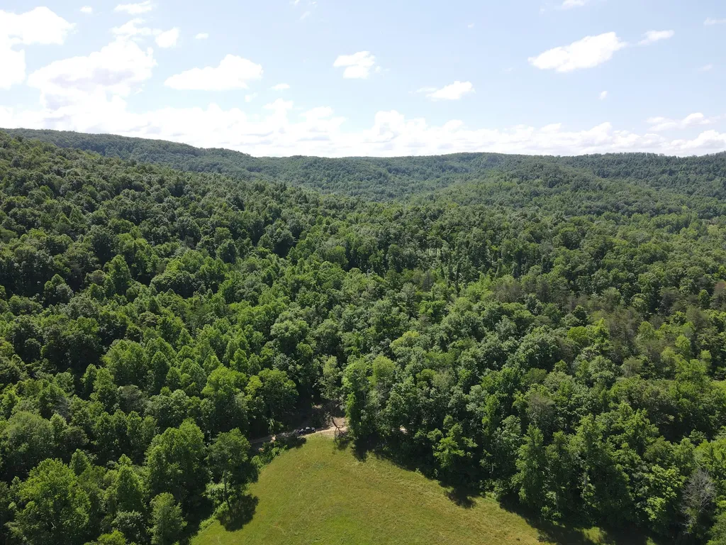 0 Chesnut Grove Road Monticello KY 42633