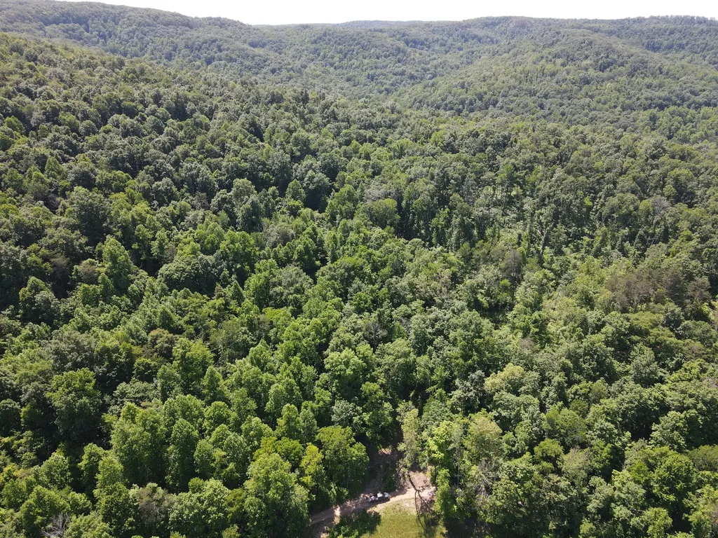0 Chesnut Grove Road Monticello KY 42633