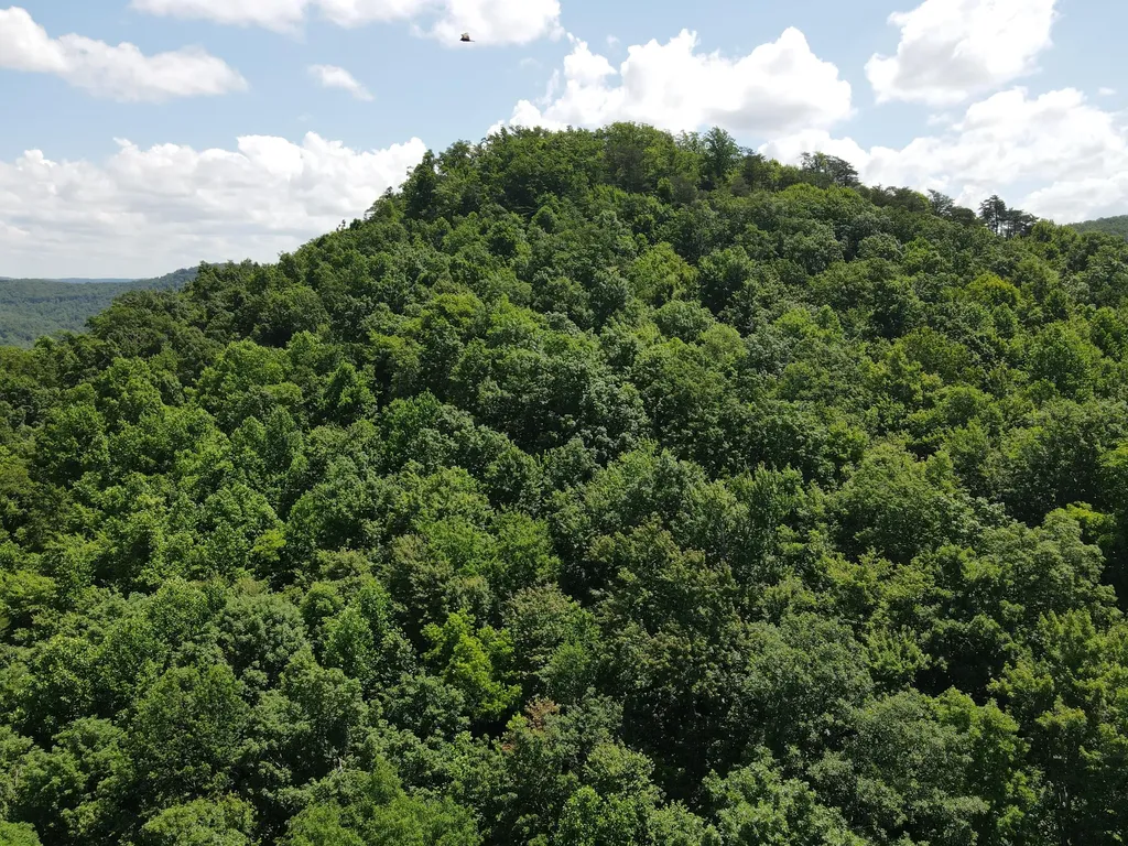 0 Chesnut Grove Road Monticello KY 42633