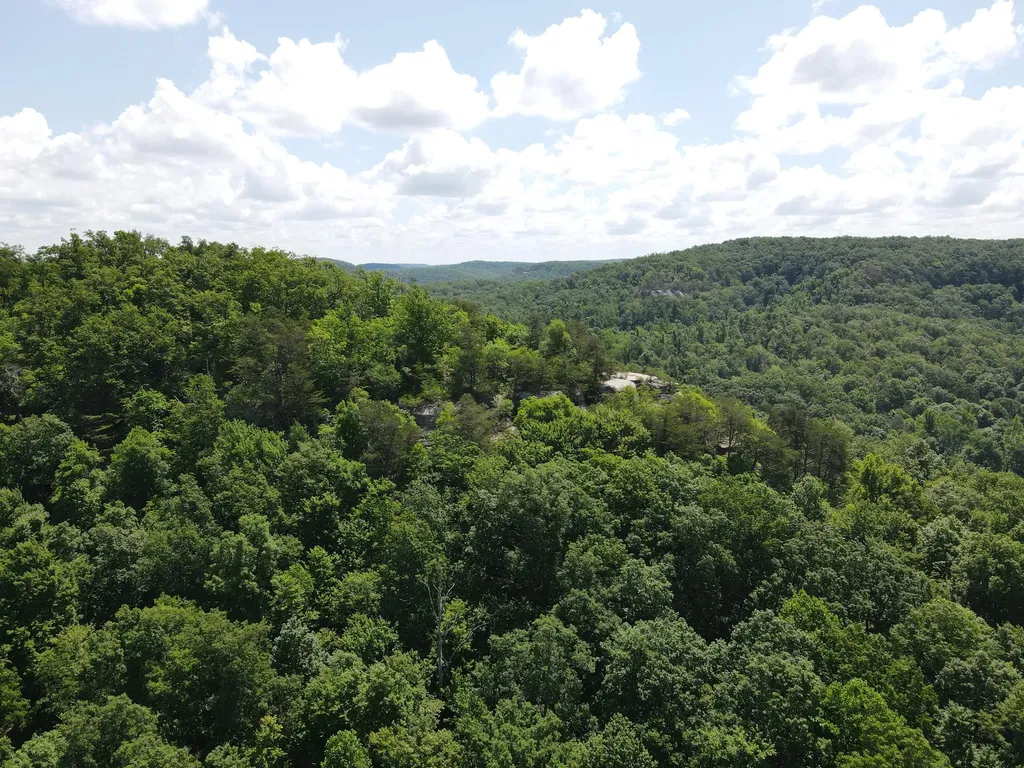 0 Chesnut Grove Road Monticello KY 42633