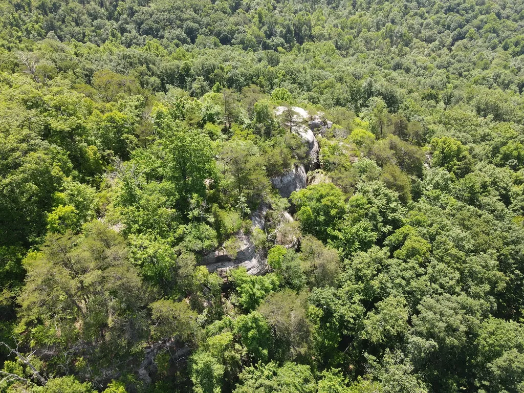 0 Chesnut Grove Road Monticello KY 42633