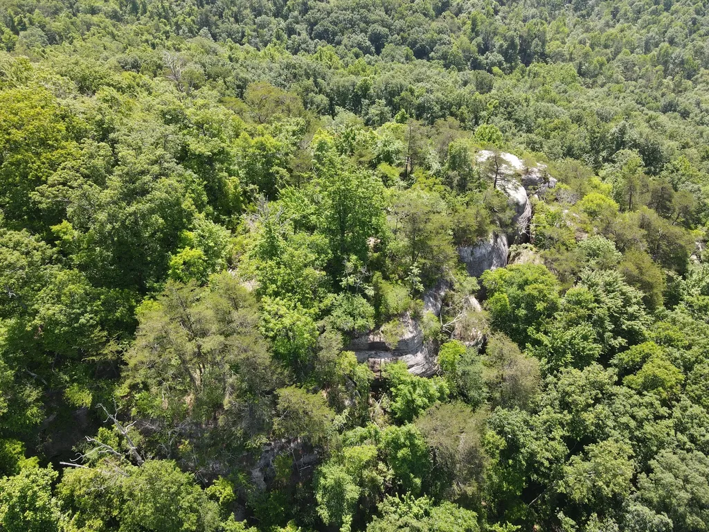 0 Chesnut Grove Road Monticello KY 42633