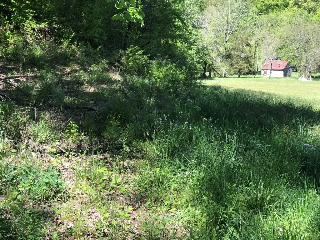 0 Chesnut Grove Road Monticello KY 42633