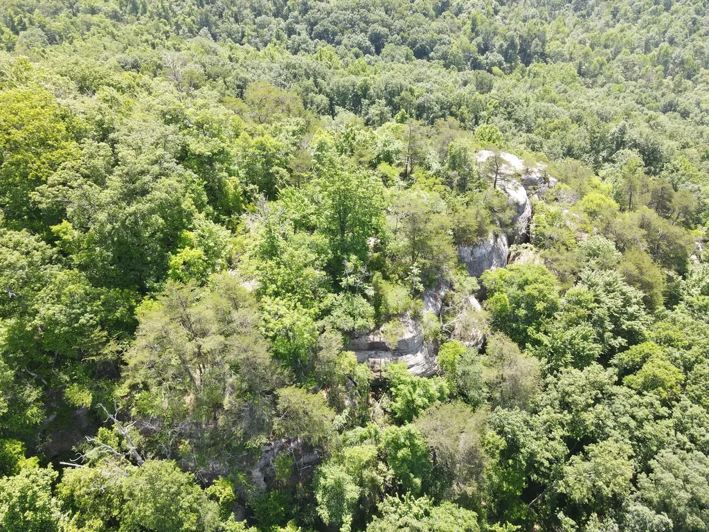 0 Chesnut Grove Road Monticello KY 42633