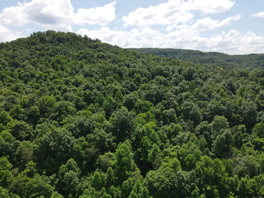 0 Chesnut Grove Road Monticello KY 42633