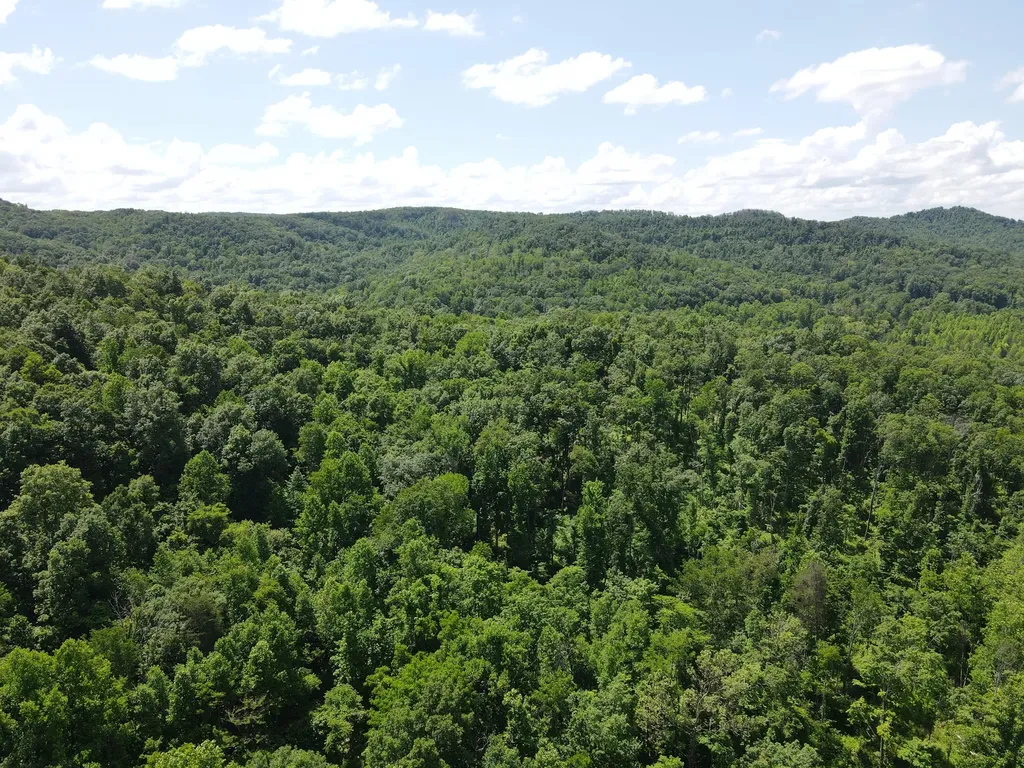 0 Chesnut Grove Road Monticello KY 42633