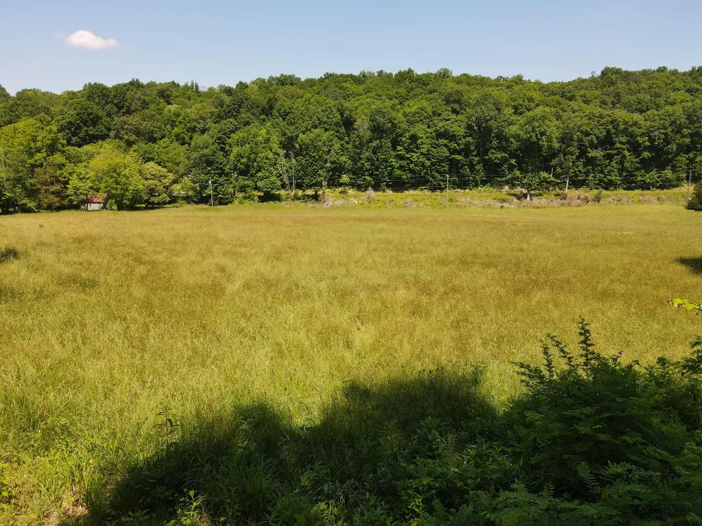 0 Chesnut Grove Road Monticello KY 42633