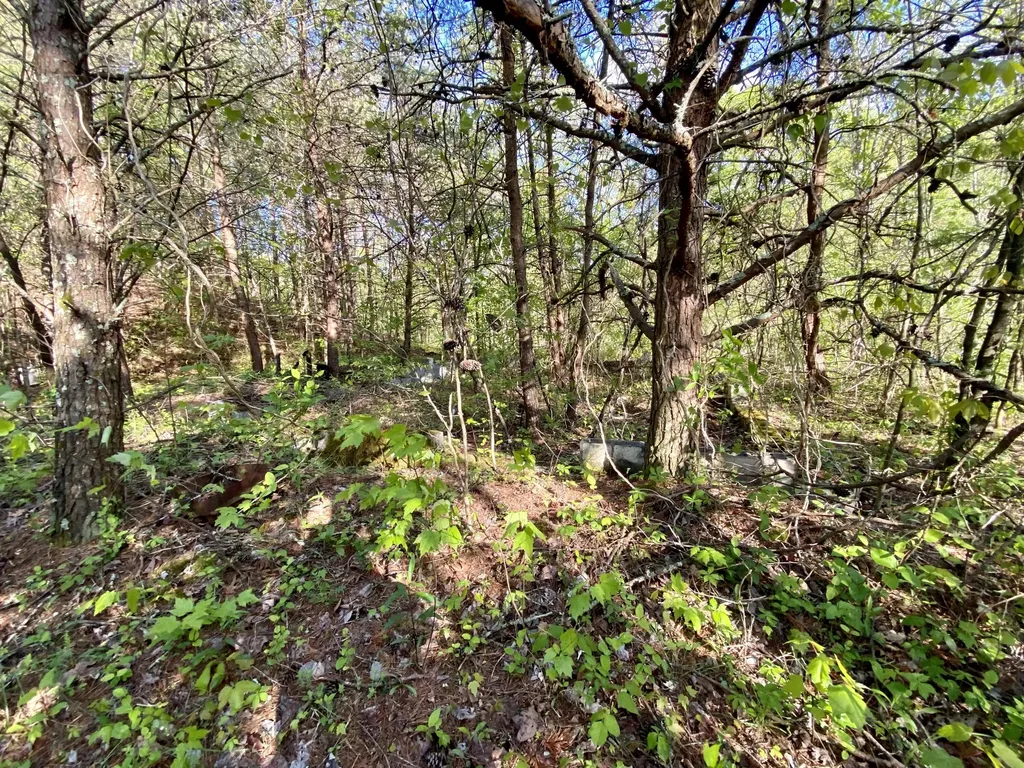 0 New Salem Road London KY 40741