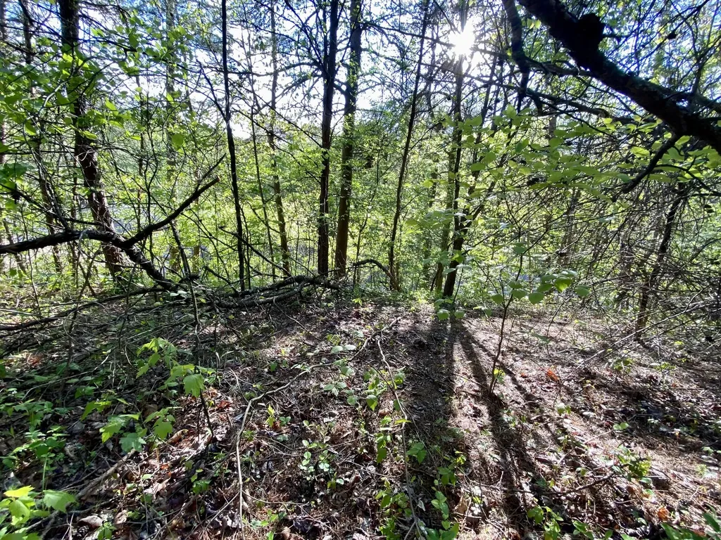 0 New Salem Road London KY 40741