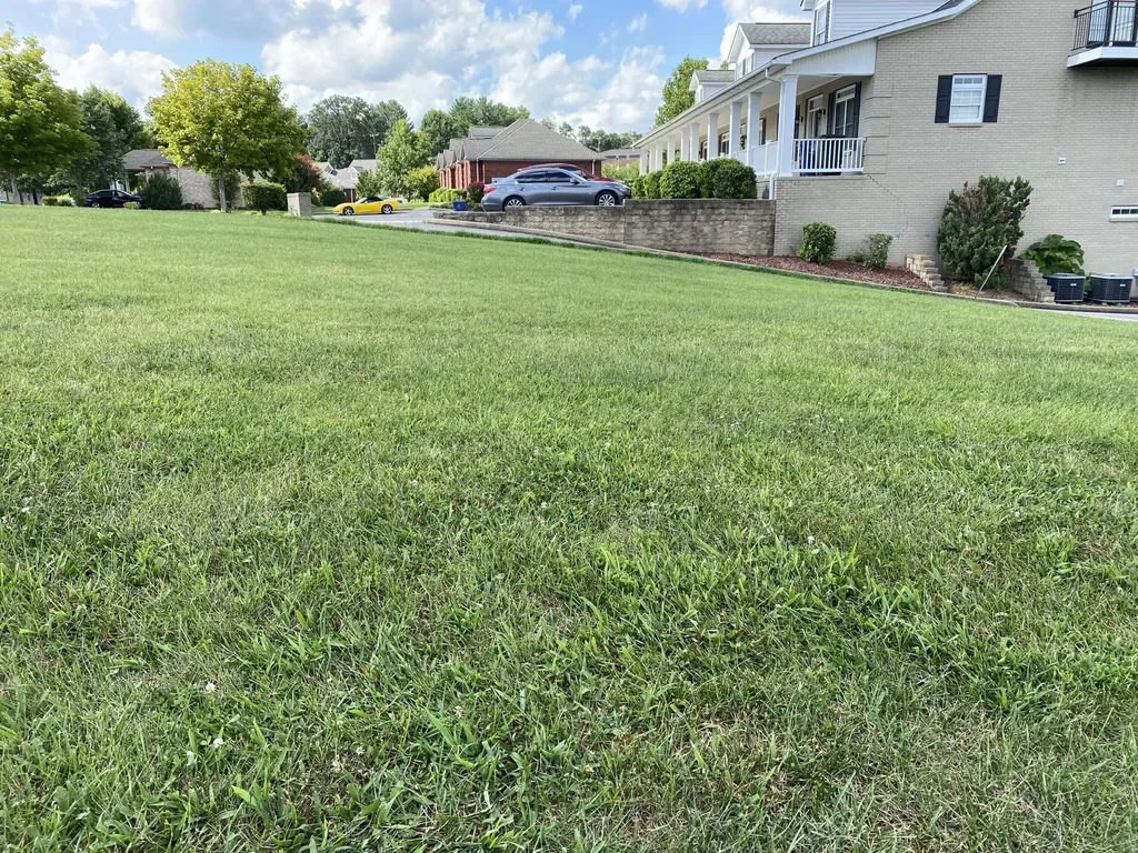 5, 6a & 6b Melrose Place Somerset KY 42503