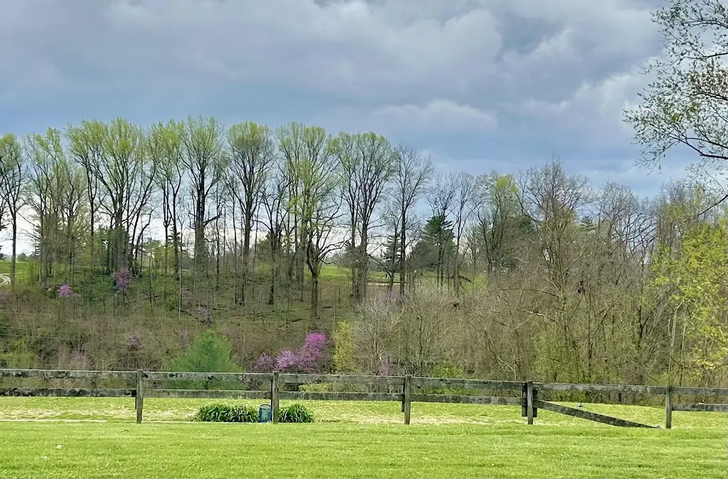 5, 6a & 6b Melrose Place Somerset KY 42503