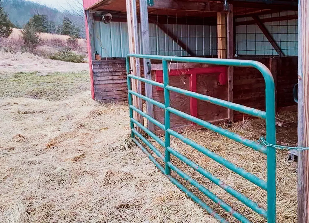 7179 St Joe Road Campbellsville KY 42718
