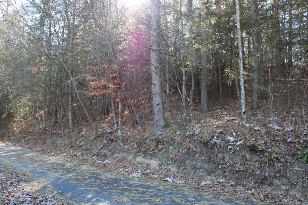 1265 Lake Road London KY 40741