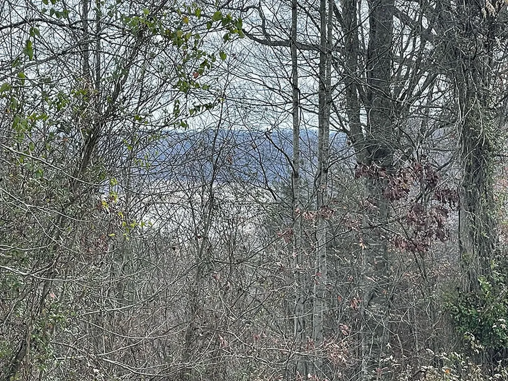 Lot 138 Stillwater Russell Springs KY 42642