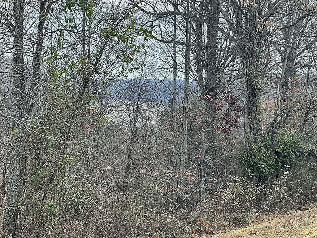 Lot 138 Stillwater Russell Springs KY 42642