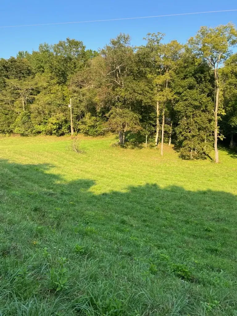 0 Batte Lane Mount Olivet KY 41064